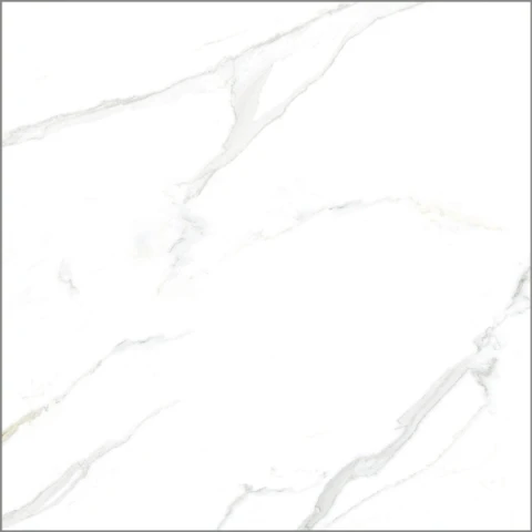 Ảnh Gạch Taicera GP88805J 80x80cm 2