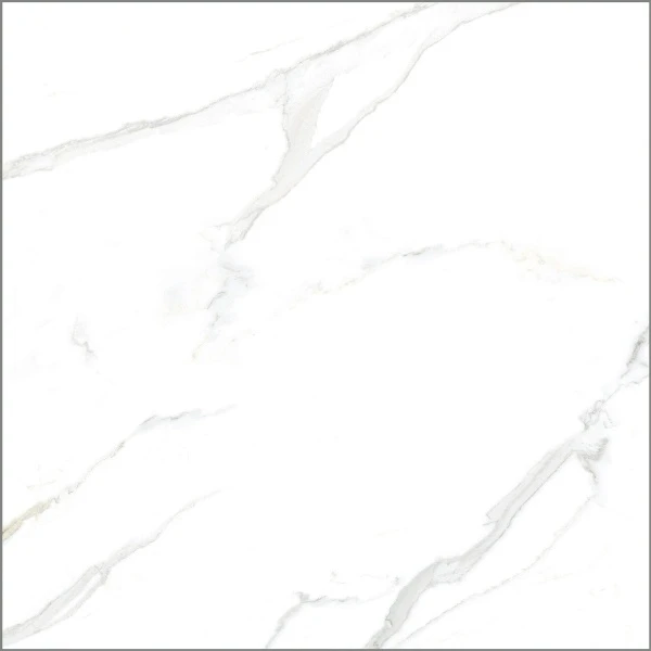 Ảnh Gạch Taicera GP88805J 80x80cm 2