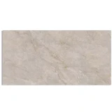 Gạch Taicera G12L16JW-CA 1