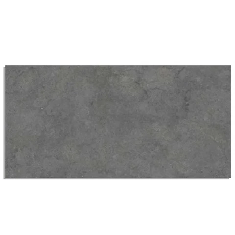 Ảnh Gạch Taicera G12P18JM 1