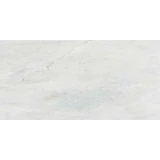 Gạch Taicera G63845J 1