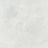 Gạch Taicera G68845J 1