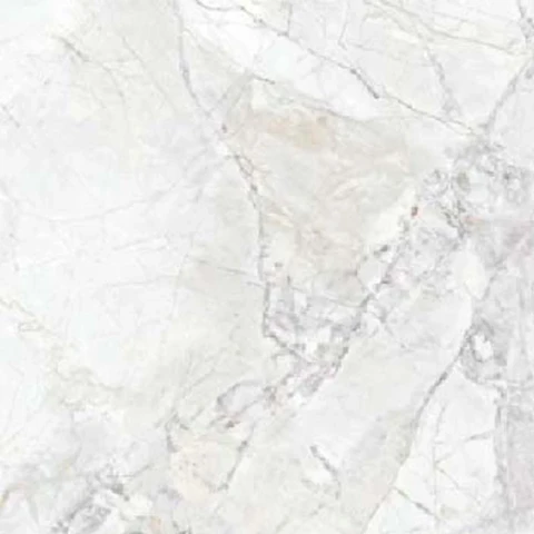 Ảnh Gạch Taicera G88L10JW-CA 1