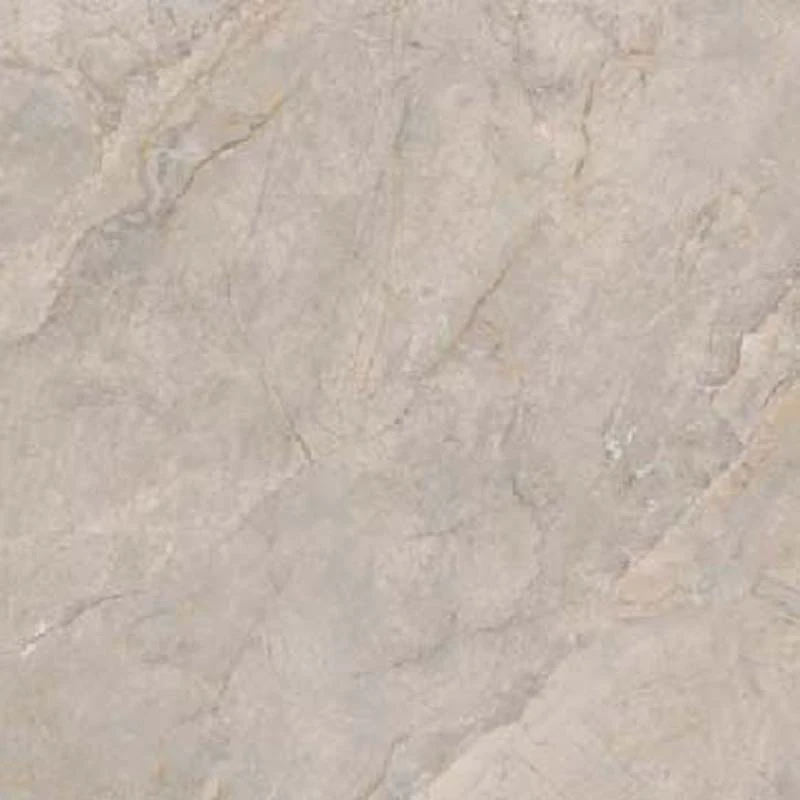Gạch Taicera G88L16JW-CA