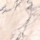 Gạch Taicera G88L26JW-CA 1