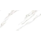 Gạch Taicera GP12022J 1