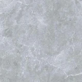 Gạch Taicera GP68258J 1