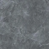 Gạch Taicera GP68259J 1