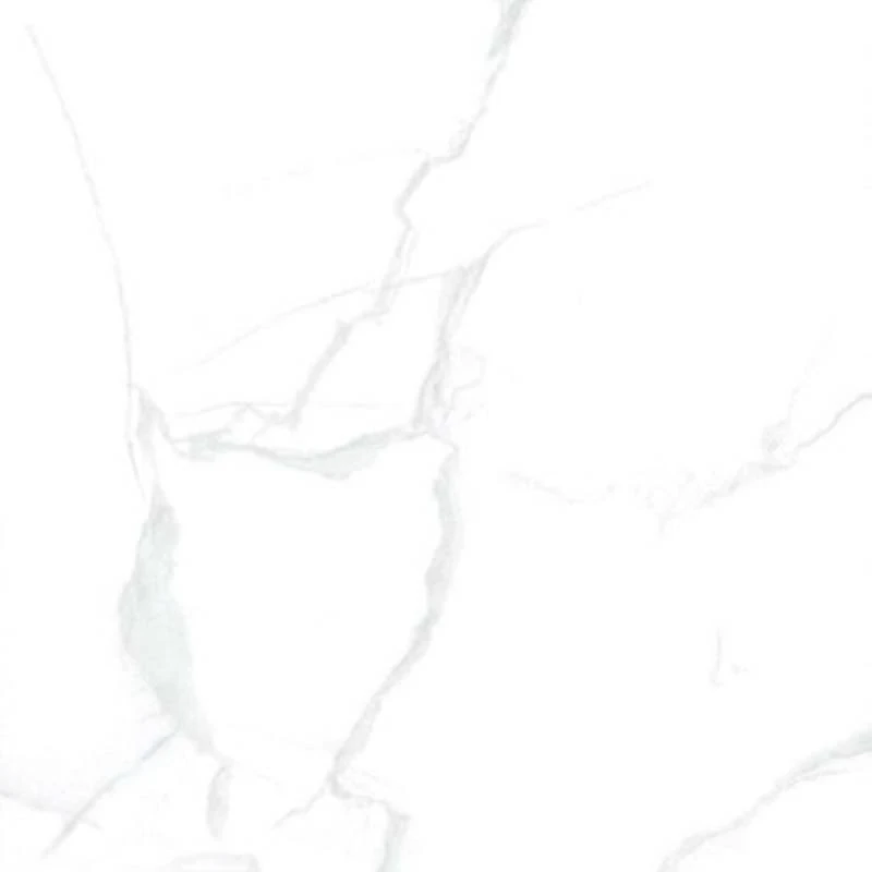 Gạch Taicera GP88085J