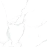 Gạch Taicera GP88085J 1