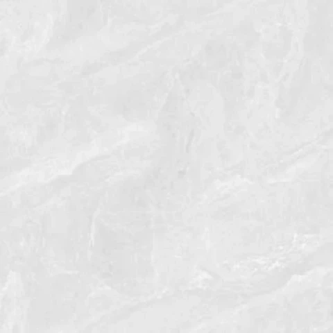 Ảnh Gạch Taicera GP88117J 1
