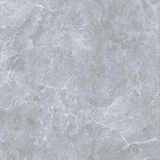 Gạch Taicera GP88258J 1