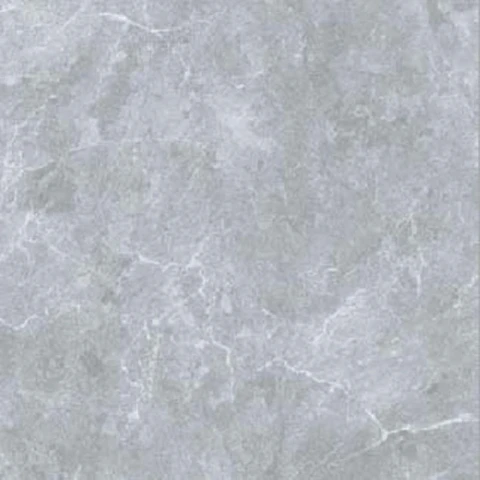 Ảnh Gạch Taicera GP88258J 1