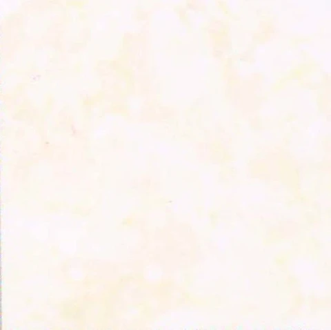 Ảnh Gạch Thạch Bàn BCN60-852 1