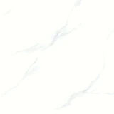 Gạch Viglacera VHP6601 1