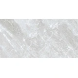 Gạch Viglacera CBP61208 1