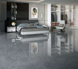 Gạch Viglacera CL52-9GP101002 4