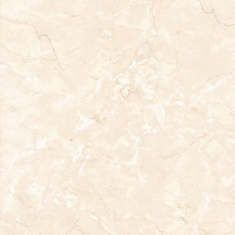 Ảnh Gạch Viglacera PR3004 1