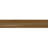 Gạch Viglacera SH-GK21003 2