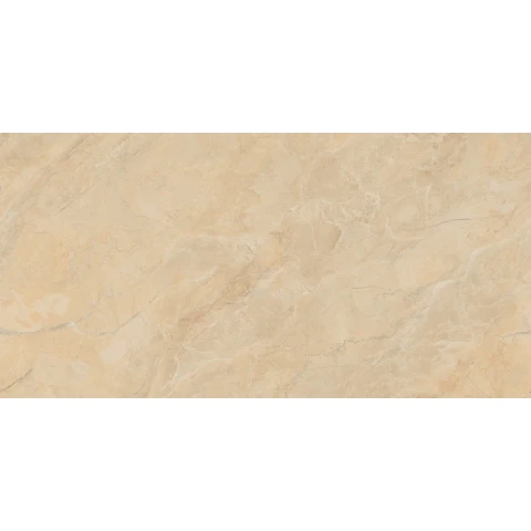 Ảnh Gạch lát nền Viglacera SH-GP61207 4