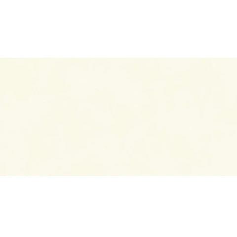 Ảnh Gạch Viglacera TL4807 1