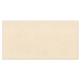 Gạch Viglacera UM3605 2