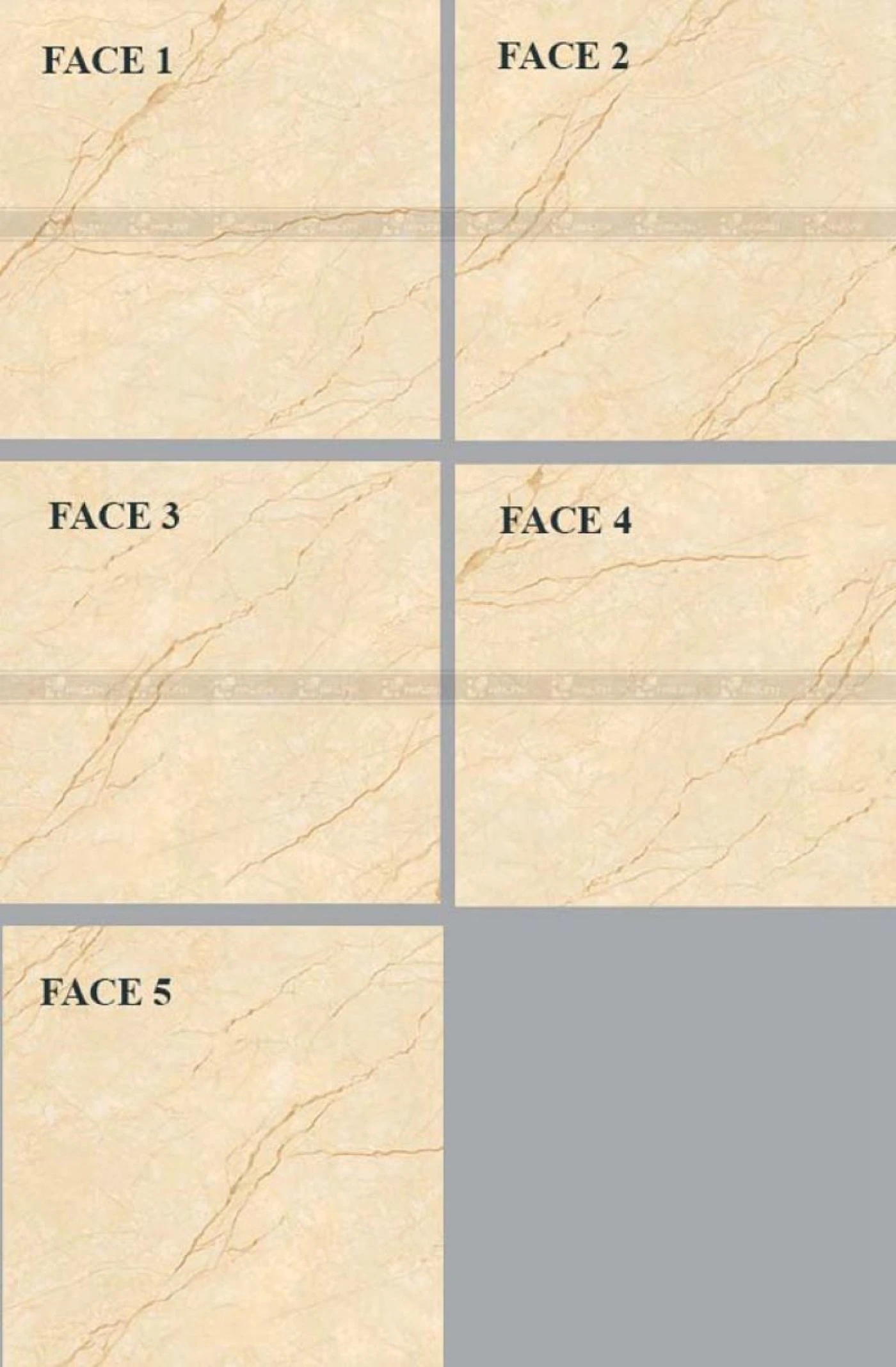 face gach 80x80 viglacera mdp 822 2