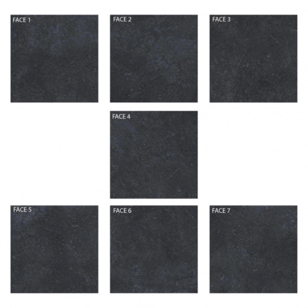 face gach platinum pt20 g6604