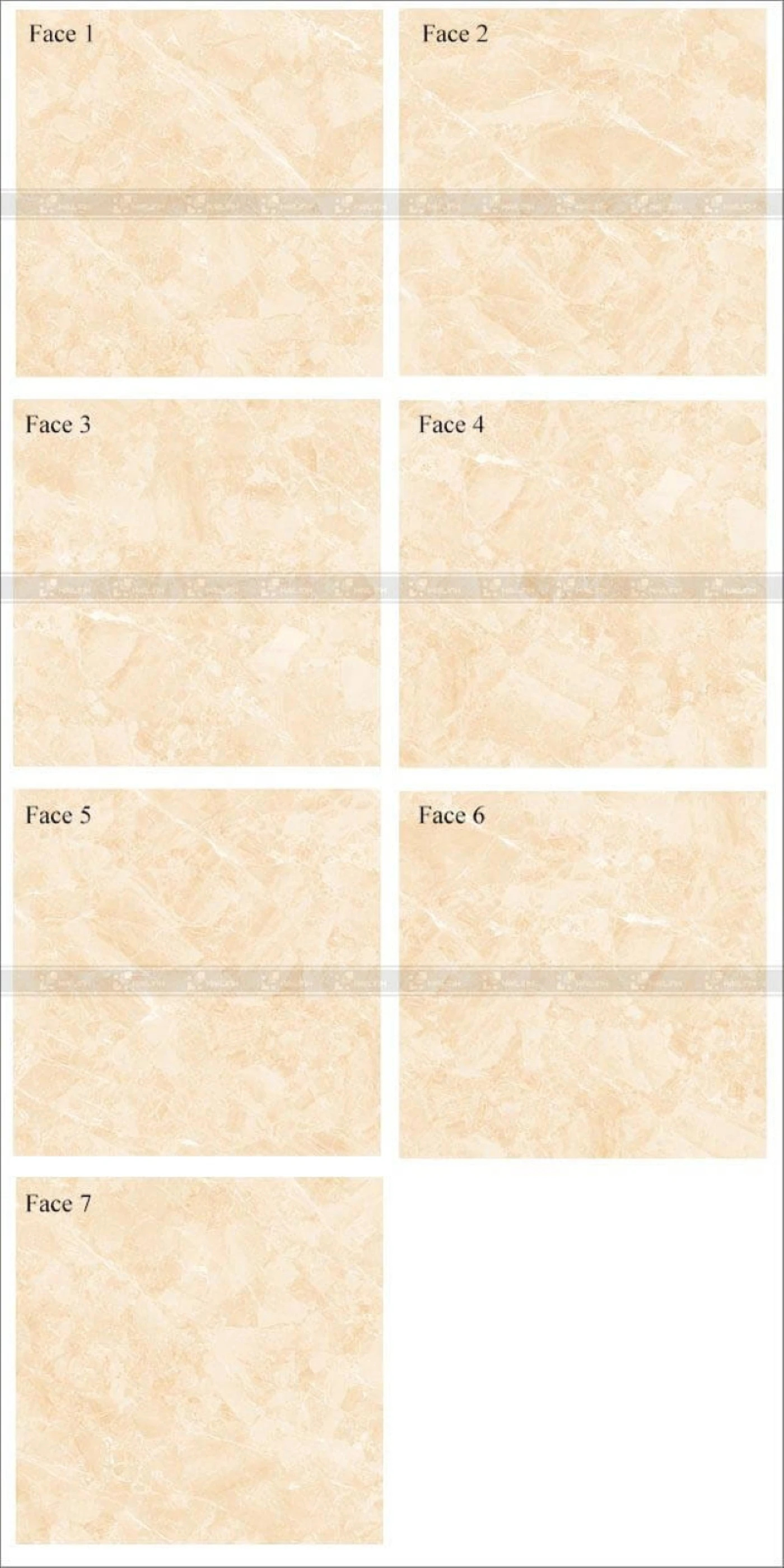 face gach viglacera tb 808