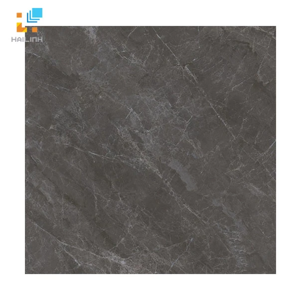 Ảnh Gạch Viglacera SH-BS3304 màu đen xám 1