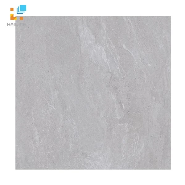 Gạch Viglacera SH20-6603