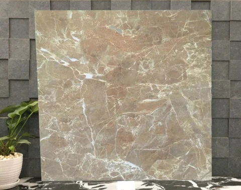 Ảnh Gạch lát nền Viglacera UB6601 3