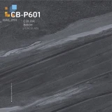 Gạch Viglacera CBP601 1