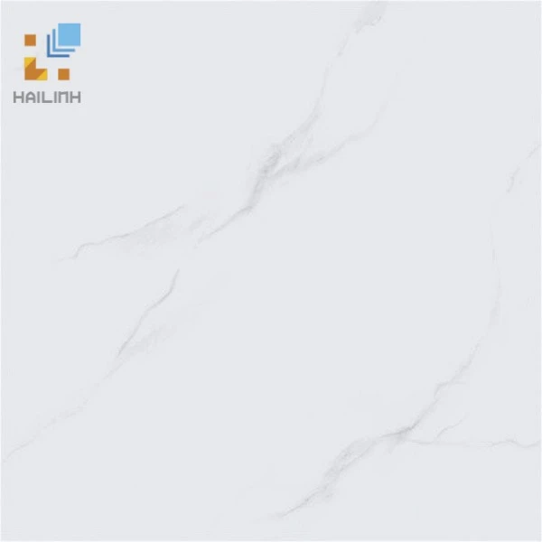 Gạch Viglacera VHP6601