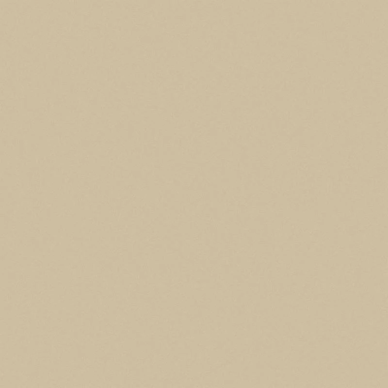 Gạch Viglacera TS5-802