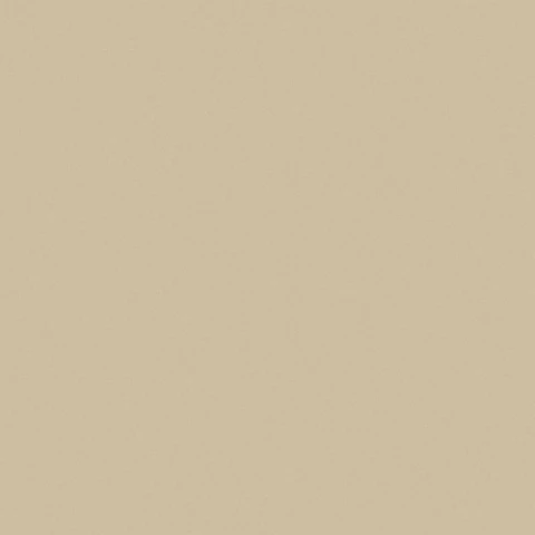 Ảnh Gạch Viglacera TS5-802 1
