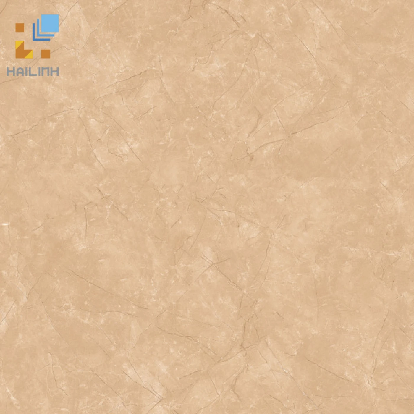 gach lat nen Viglacera CL-308