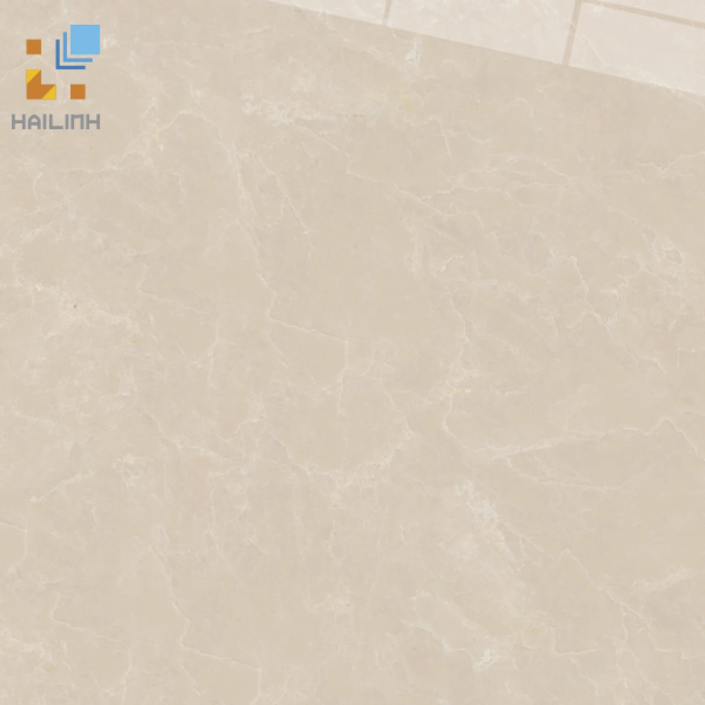 gach viglacera 50x50 CL CE503