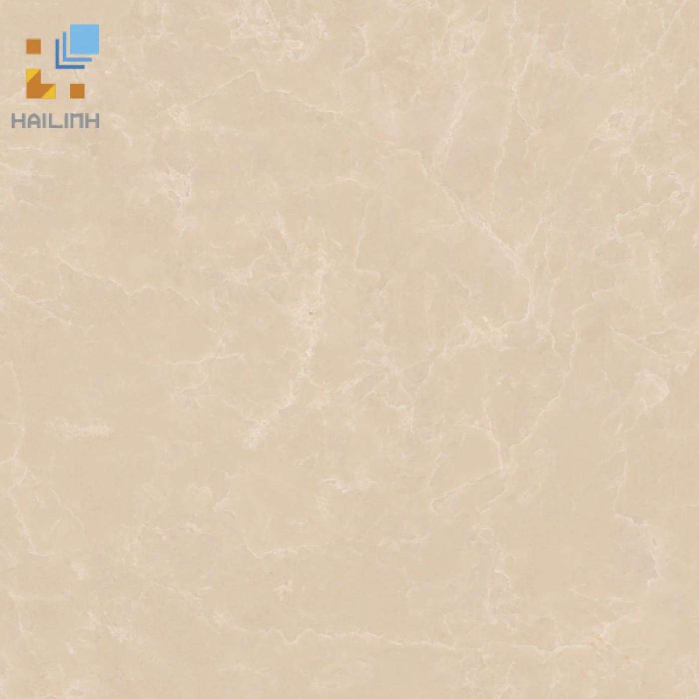 gach viglacera 50x50 CL CE504