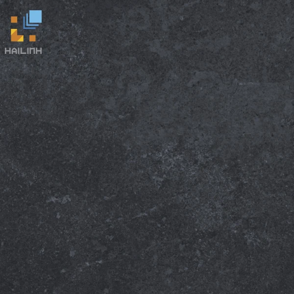 Ảnh Gạch Viglacera PT20-G6604 1