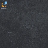 Gạch Viglacera PT20-G6604 1