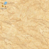 Gạch Viglacera CL-GP6605 1