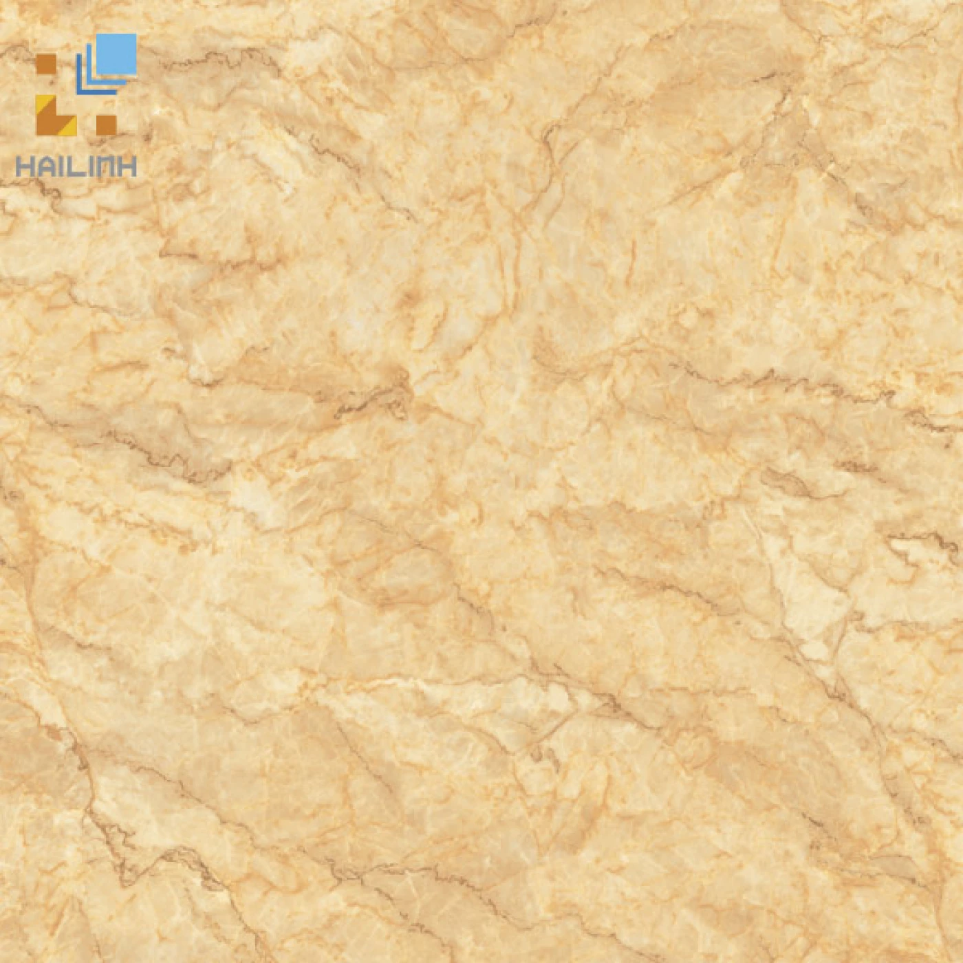 gach lat nen viglacera cl-gp6605