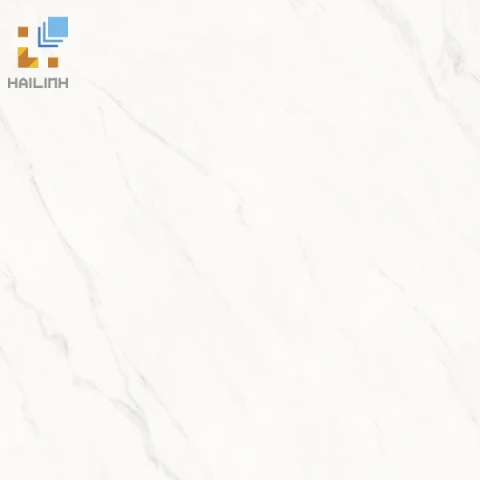 Ảnh Gạch Viglacera SH-GP606 1