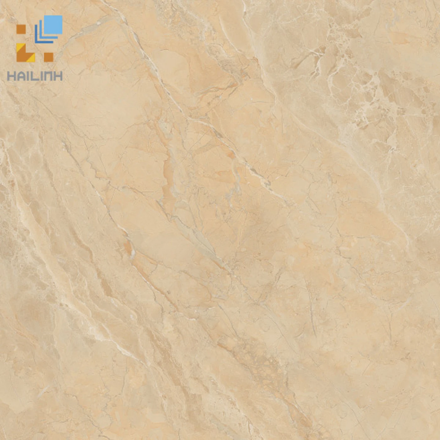 gach viglacera 60x60 SH GP607