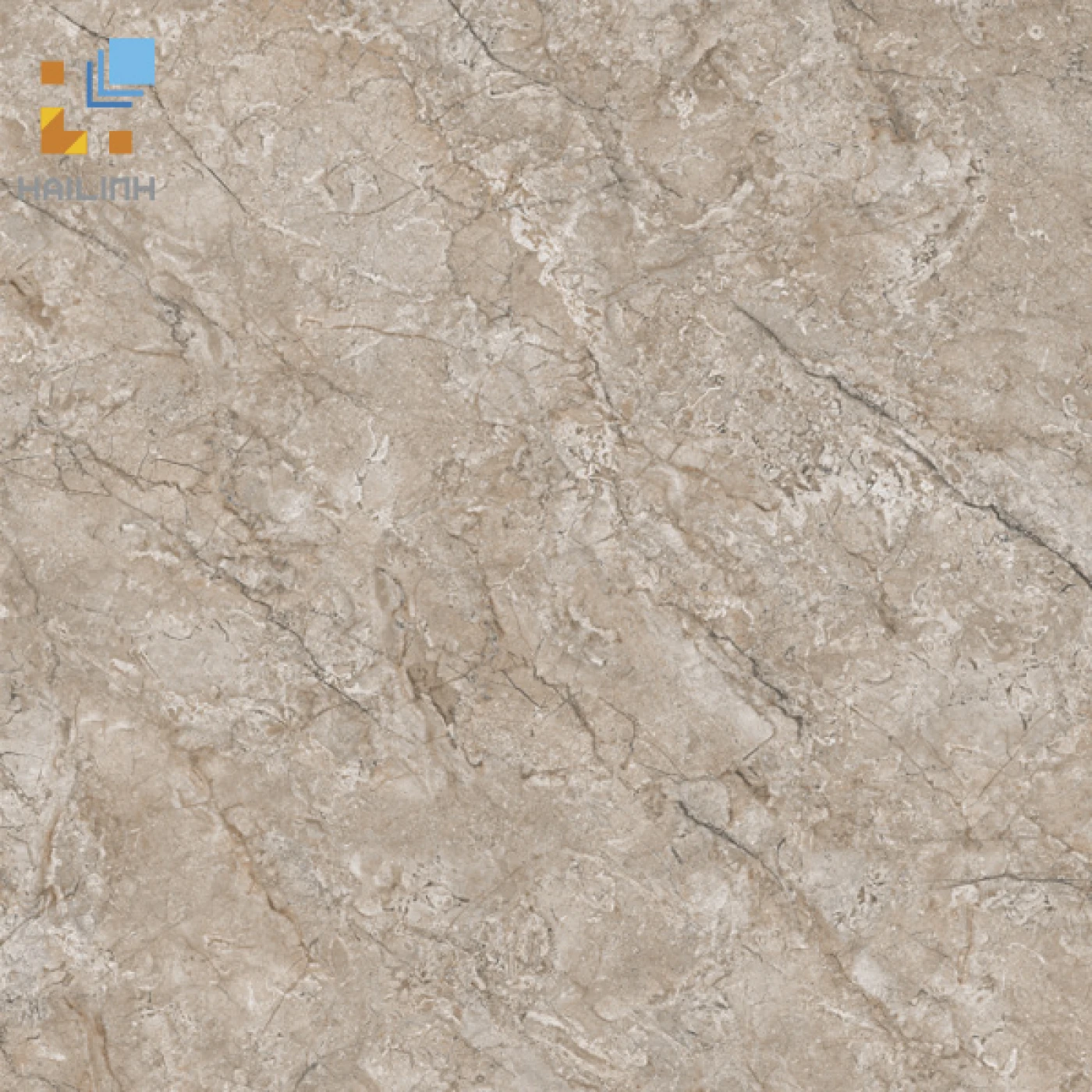 gach viglacera cl-gp6606