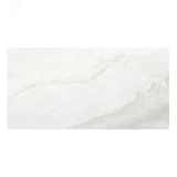 Gạch Viglacera CB-PT61203 3