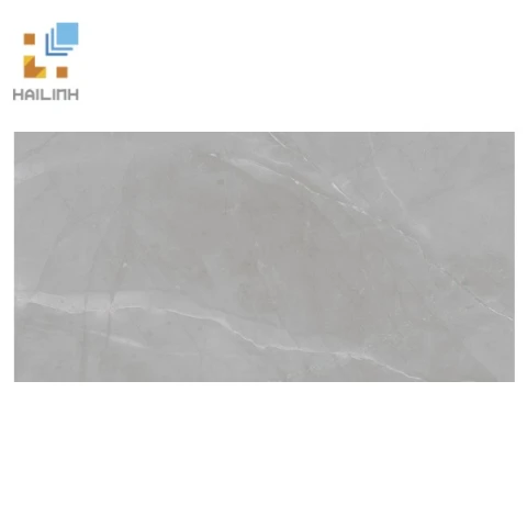 Ảnh Gạch Viglacera CL-GP4808 1