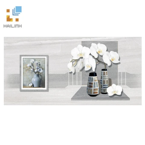 Ảnh Gạch Viglacera CL-GP4810A 1