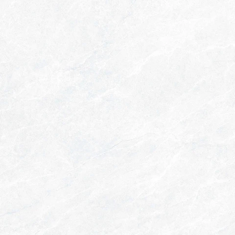 Ảnh Gạch Viglacera CL6-GP8801 2